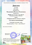 Диплом  Всероссийского конкурса лэпбуков 